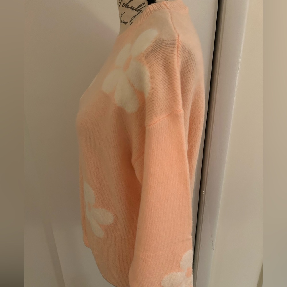 Petal & Pup Soft Orange Crewneck Sweater - Picture 4 of 5